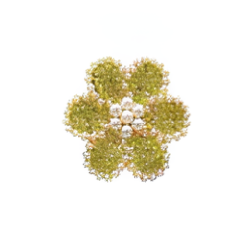 FLEURS & TREFLES METAL