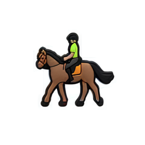 ÉQUITATION