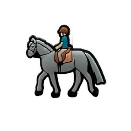 ÉQUITATION