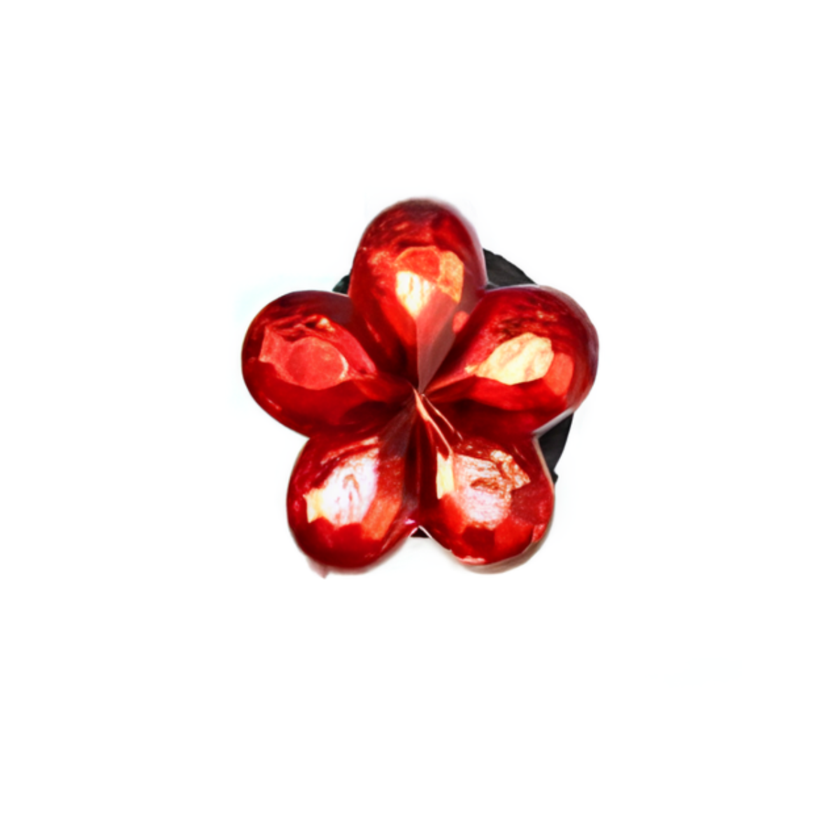 PERLES