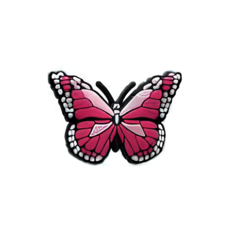 PAPILLONS