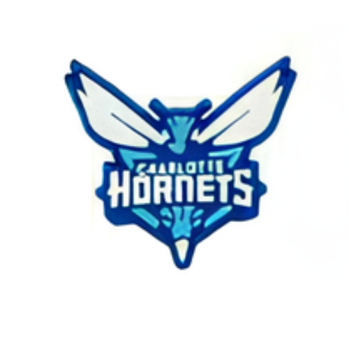ÉQUIPES DE BASKET